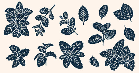 Realistic Mint Leaves or Mint Leaf Peppermint, for  Mint Flavour Herb Botanical in Vector Illustration © kawacreative