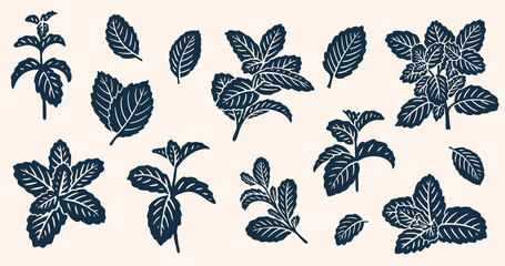 Realistic Mint Leaves or Mint Leaf Peppermint, for  Mint Flavour Herb Botanical in Vector Illustration © kawacreative