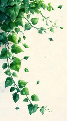 Creeping and Hanging Tropical Foliage Isolated On A White Background