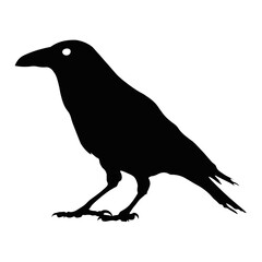 Black Silhouette of Crow. Halloween Raven Silhouette. Isolated on White Background