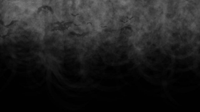 Smoke drain with flying bat on black background loop animation