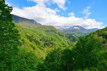 新緑の秋山郷（新潟県）