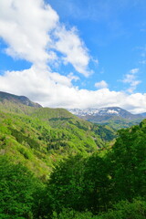 新緑の秋山郷（新潟県）