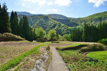 Fototapeta premium 蛇淵の滝への道（新潟県）
