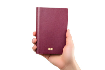 A hand holding a passport, ideal for travel, identity, or global themes