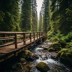A wooden bridge crossing a stream or ravine in the forest