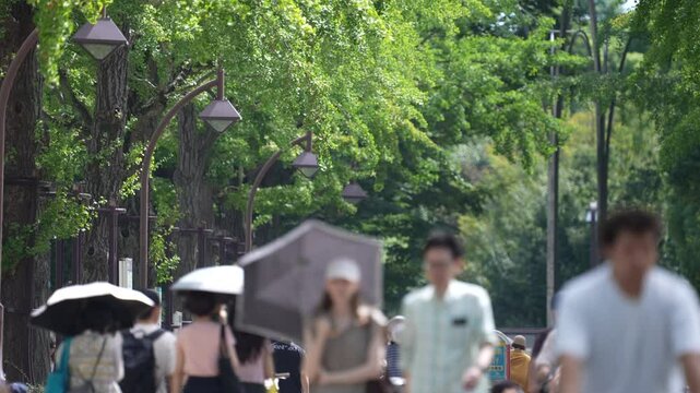 People walking in the park in Tokyo, JAPAN