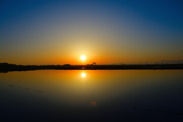 朝の弥彦大鳥居（新潟県）