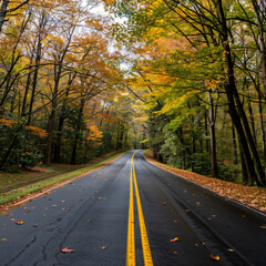 Obraz premium Road surrounded by trees with colorful leaves