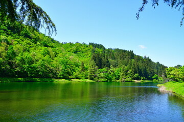 新緑の加茂水源地（新潟県）