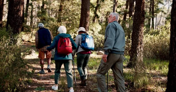 Back, senior or friends on trail hiking outdoor adventure or journey for travel in nature or forest. Group, exercise and elderly people in woods for holiday retirement, walking or trekking to explore