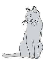 Cat-in-line art ready for coloring