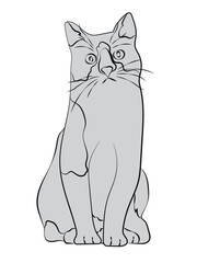 Cat-in-line art ready for coloring