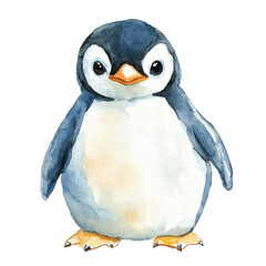 Penguin watercolor clipart illustration isolated