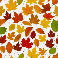 Obraz premium autumn colorful leaves