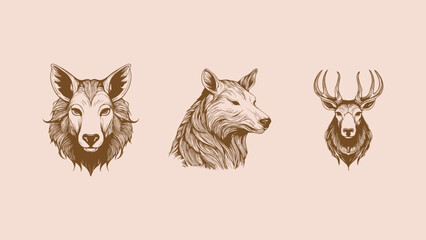 Obraz premium Set of hand drawn wild animals deer rhino and leopard on white background. Vector illustration.