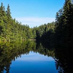 Obraz premium A tranquil lake surrounded by dense forest with reflections of the trees in the water
