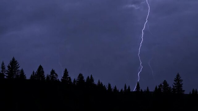 Breathtaking footage of the lightning striking over a dense evergreen forest during a thunderstorm