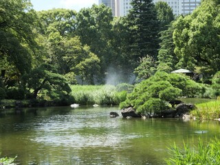 日比谷公園の風景