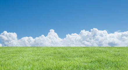 Fototapeta premium 河川敷の土手、高台さわやかな青空と雲・入道雲 緑の草原・芝生の背景壁紙 アウトドア・スポーツ・行楽・レジャー・旅行・遠足・運動会の背景 