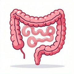 Intestine, flat illustration of human body organ, graphics for medical education, treatment, hospital poster, banner