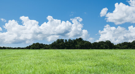 Obraz premium 河川敷の土手、高台さわやかな青空と雲・入道雲 緑の草原・芝生の背景壁紙 アウトドア・スポーツ・行楽・レジャー・旅行・遠足・運動会の背景 