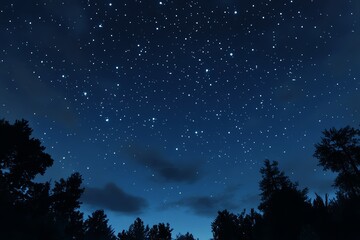 Starry night sky over dark trees silhouette