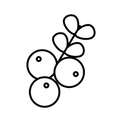 cranberries line icon