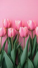 Fototapeta premium Perfectly Aligned Pink Tulips in Vibrant Spring Bloom