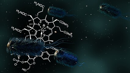 3d rendering of  E. coli is one of the primary sources of vitamin B12 in the human intestine. Beneficial E. coli strains produce vitamin B12, a vital nutrient for our bodies.