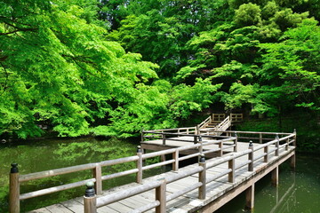 加茂山公園（新潟県）