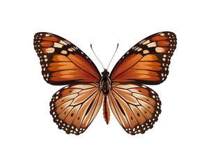 Beautiful monarch butterfly displaying vibrant orange wings