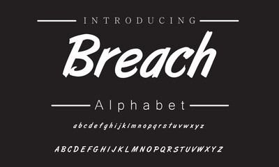 Whimsical Brush Font Collection for Fun Projects, Branding, and Invitations | Creative Touch for All Your Design Needs