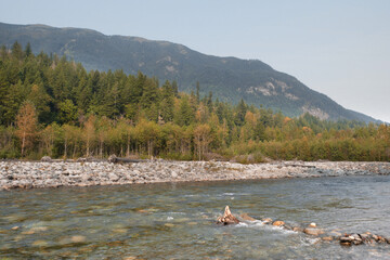 Chilliwack River during a summer season in Chilliwack, British Columbia, Canada