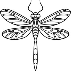 Intricate Dragonfly Wings Line Art Vector