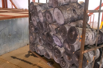 Metal structure holding stack of soaked in hot water wood logs on woodwork factory. Manufacturing production of wooden products, timber, lumber in workshop plant. Automated industrial machinery line.