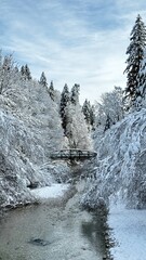 Snowy Bridge