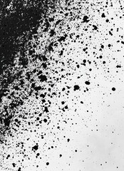 Obraz premium Black ink splatters on white