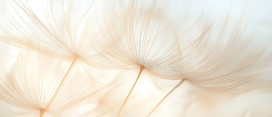 A close up of a flower with a blurry background