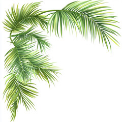 Palm branches