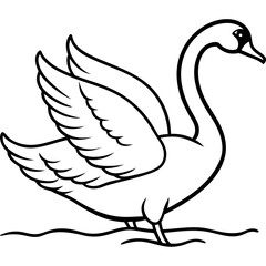 Swan Stretching Wings Above Water Detailed Line Art Vector