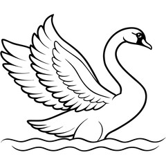 Swan Stretching Wings Above Water Detailed Line Art Vector