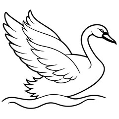 Swan Stretching Wings Above Water Detailed Line Art Vector