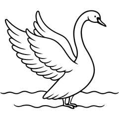 Swan Stretching Wings Above Water Detailed Line Art Vector