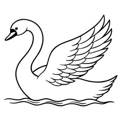 Obraz premium Swan Stretching Wings Above Water Detailed Line Art Vector