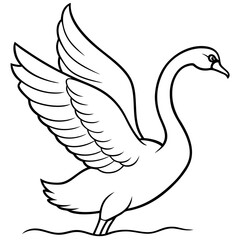 Swan Stretching Wings Above Water Detailed Line Art Vector