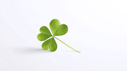 Clover leaf illustration vector on white background.