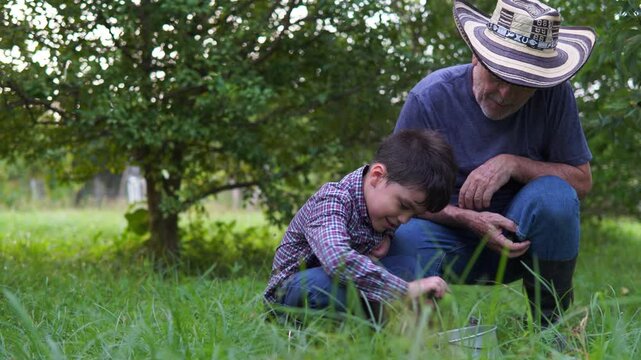 Ni&ntilde;o y su abuelo camino al cultivo de limones donde recolectan limones para hacer una limonada en familia.