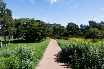 夏の苫小牧市の支笏湖