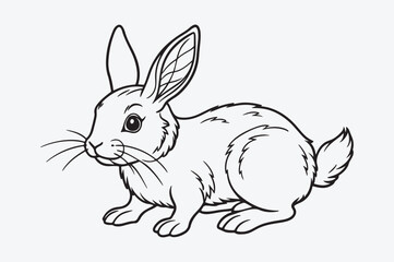 Obraz premium Black line art of a RABBIT for kids coloring book in white background